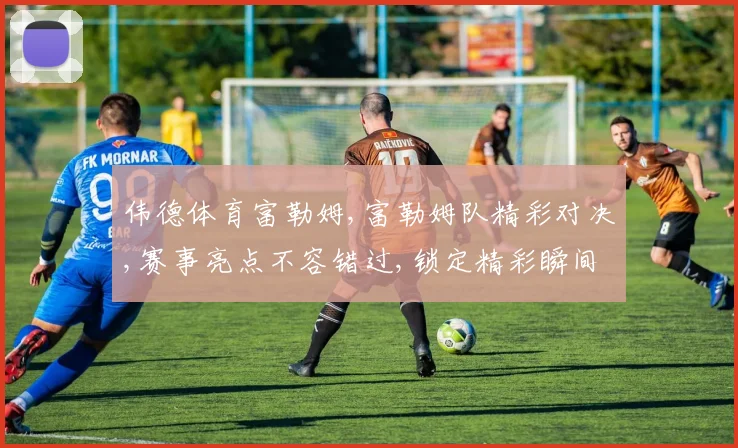 伟德体育富勒姆,富勒姆队精彩对决,赛事亮点不容错过,锁定精彩瞬间